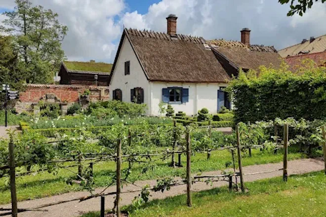 kulturen i lund trädgård