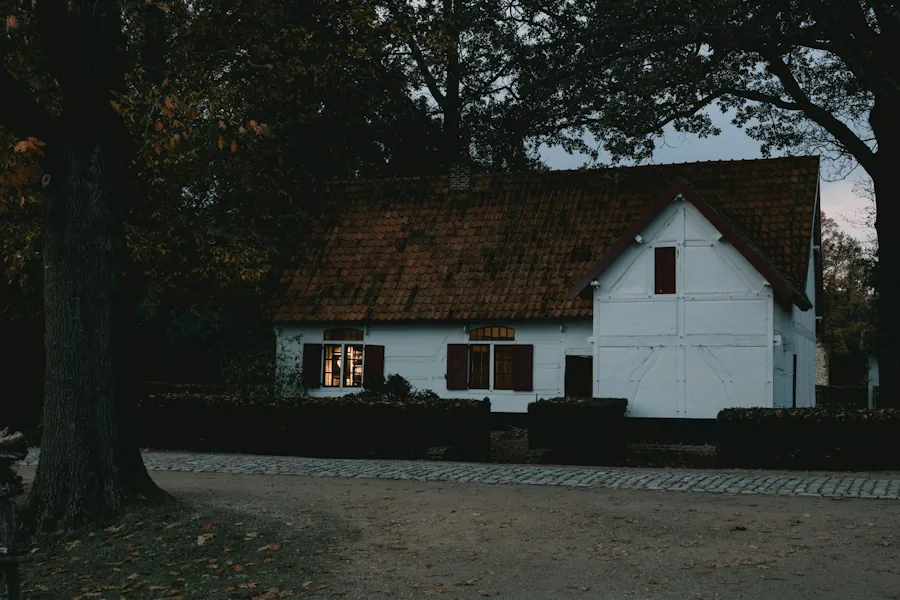 När vintern gör hembygdsparken för mörk